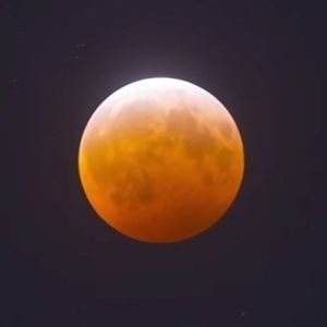 Meet your Posher, Aster